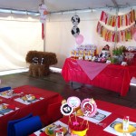 Girl birthday party farm idea