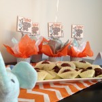 New born baby ceremony pictures